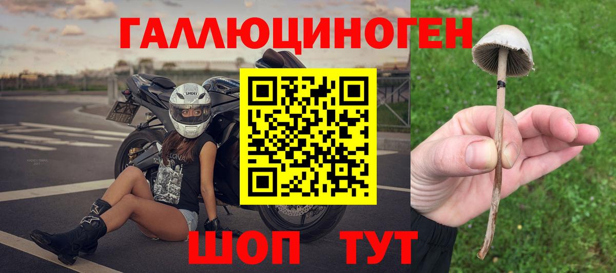 Лениногорск  где купить наркоту  Вход с VPN  Псилоцибиновые грибы мухоморы  Галлюциногенные грибы Psilocybe 